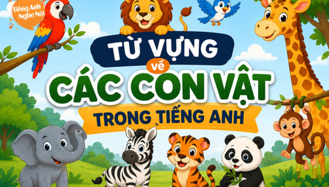 tu vung ve con vat