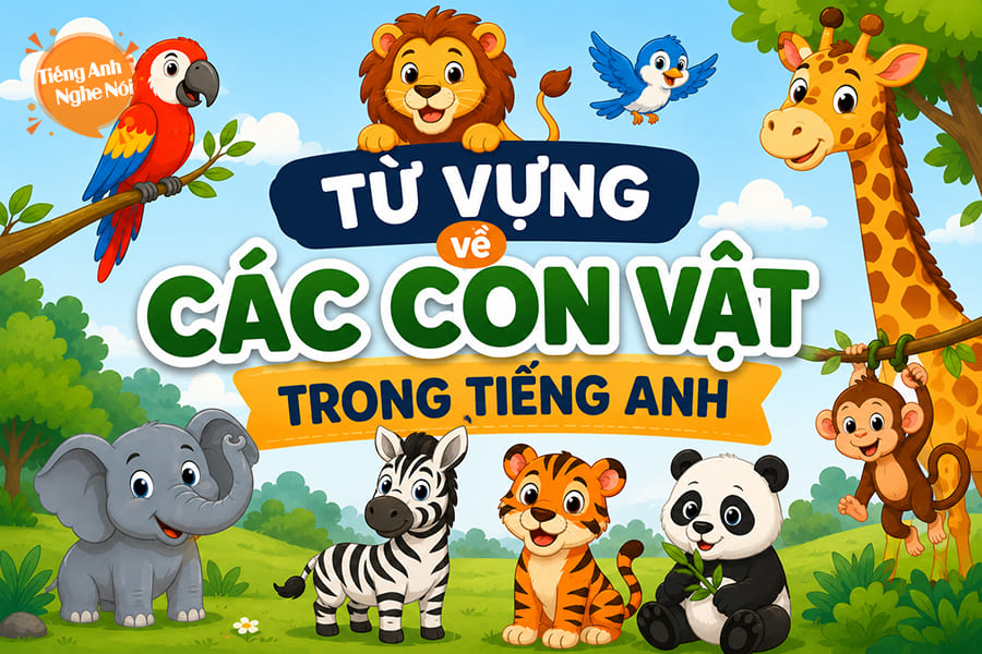 tu vung ve con vat