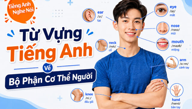 tu vung bo phan co the nguoi
