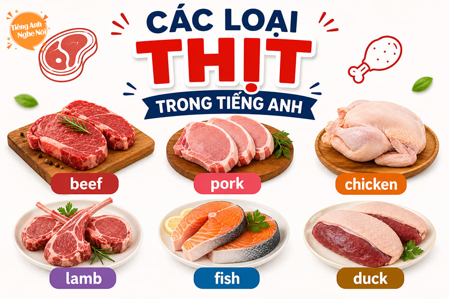 cac loai thit tieng anh
