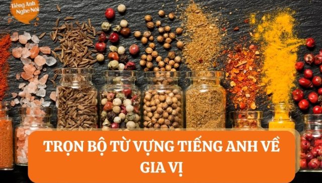 tu vung gia vi 6 min