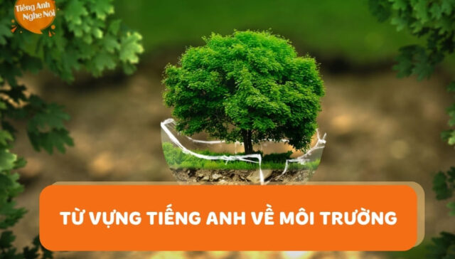 tu vung moi truong