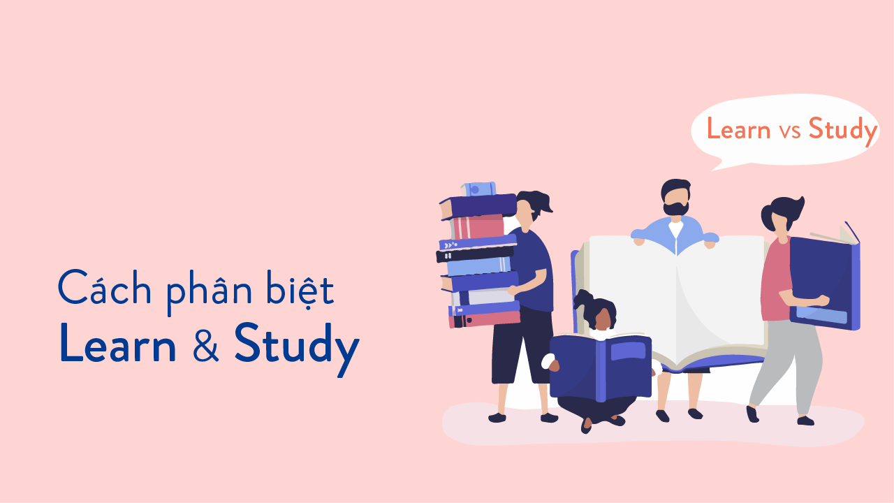 learn-study learn study