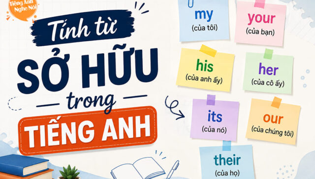 tinh tu so huu