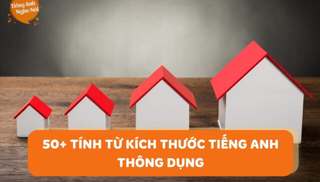 tinh tu chi kich thuoc