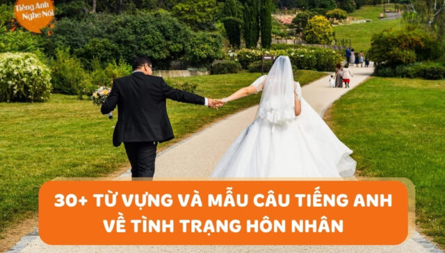 tu vung tinh trang hon nhan