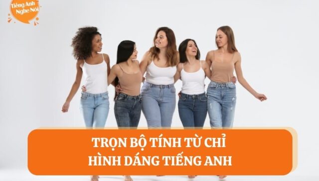 tu vung chi hinh dang 9